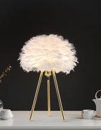 Dreamy Feather Lamp